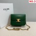 CELINE HANDBAGS COLLEGE TRIOMPHE bag (20CM) 1:1 Quality