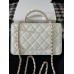 CHANEL HANDBAGS A96033 (19CM) 1:1 Quality