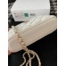 CHANEL HANDBAGS 96035(17CM) 1:1 Quality