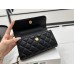 CHANEL HANDBAGS A96014 (18CM) 1:1 Quality