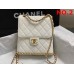 CHANEL HANDBAGS AS4490 (22CM) 1:1 Quality