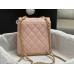 CHANEL HANDBAGS AS4490 (22CM) 1:1 Quality