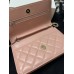 CHANEL HANDBAGS A96045 (19CM) 1:1 Quality