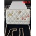 CHANEL HANDBAGS A96045 (19CM) 1:1 Quality