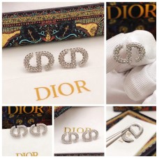 DIOR Earrings 