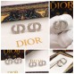 DIOR Earrings 