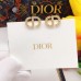 DIOR Earrings 