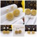 DIOR Earrings 