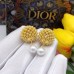 DIOR Earrings 