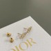 DIOR Earrings 