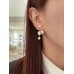 DIOR Earrings 