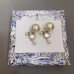 DIOR Earrings 