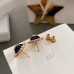 DIOR Earrings 