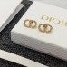 DIOR Earrings 