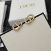 DIOR Earrings 