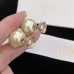 DIOR Earrings 