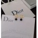 DIOR Earrings 