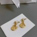 DIOR Earrings 