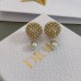 DIOR Earrings 