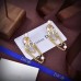 DIOR Earrings 