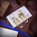 DIOR Earrings 