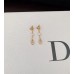 DIOR Earrings 