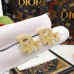 DIOR Earrings 