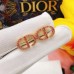 DIOR Earrings 