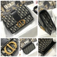 DIOR HANDBAGS M9203 (24CM)  1:1 Quality