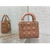 DIOR HANDBAGS M6603 (17CM)  1:1 Quality