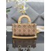 DIOR HANDBAGS M0613 (22CM)  1:1 Quality