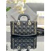 DIOR HANDBAGS M0540 (26CM) 1:1 Quality