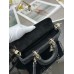 DIOR HANDBAGS M0613 (22CM)  1:1 Quality