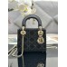 DIOR HANDBAGS M0505 (17CM)  1:1 Quality