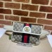 GUCCI HANDBAGS 674081 (22CM) 1:1 Quality