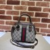 GUCCI HANDBAGS 772216 (21CM) 1:1 Quality