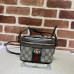 GUCCI HANDBAGS 699532 (15.5CM) 1:1 Quality