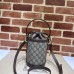 GUCCI HANDBAGS 760199 (11.5CM) 1:1 Quality 