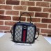 GUCCI HANDBAGS 772157 (17CM) 1:1 Quality