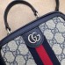 GUCCI HANDBAGS 772157 (17CM) 1:1 Quality