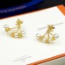 LOUIS VUITTON Earrings 