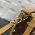 LOUIS VUITTON HANDBAGS M46358 (21CM) 1:1 Quality