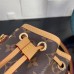 LOUIS VUITTON HANDBAGS M81266 (13CM) 1:1 Quality