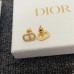 DIOR Earrings 